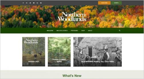 View Northern Woodlands Forestry Magazine website