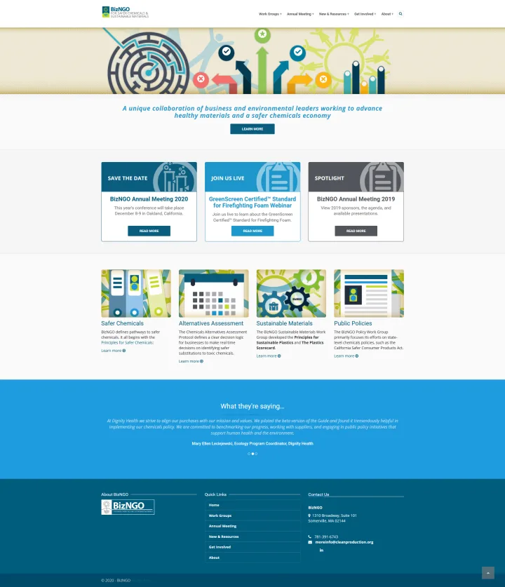 BizNGO website screenshot